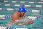 Swimming & Diving vs Babson  Swimming & Diving vs Babson College. - Photo by Keith Nordstrom : Wheaton, Swimming